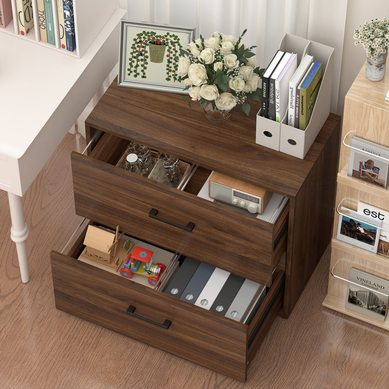 2-Drawer Lateral File Cabinet, Modern Filing Cabinet with Hanging File Storage