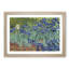 Irises by Vincent Van Gogh - Framed Print-62799955-62799959