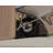 Natura Cedar Wood/Clear DIY Greenhouse Kit-114411861