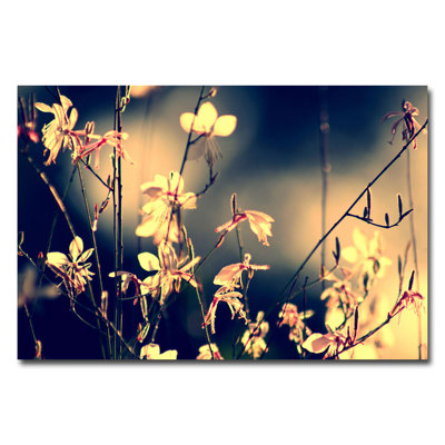 Beata Czyzowska Young - Photograph on Canvas