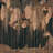 Enchanted Hanging Botanical Elements Wallpaper Mural-112696835-112696838
