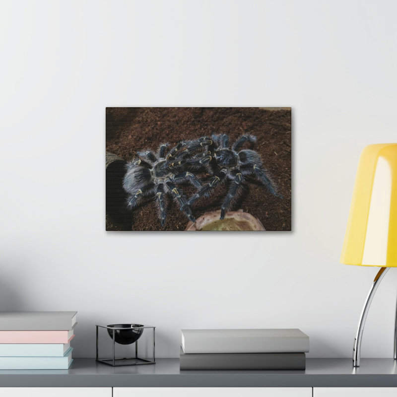 No Frame Print on Canvas, 30.48cm H x 40.64cm W
