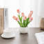 26.49cm Faux Flowering Plant in Ceramic Pot