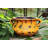 Pot Planter-848572718