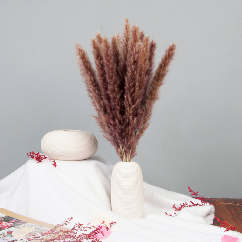 Pampas Grass Arrangement, Brown, 45cm H x 5cm W x 5cm D