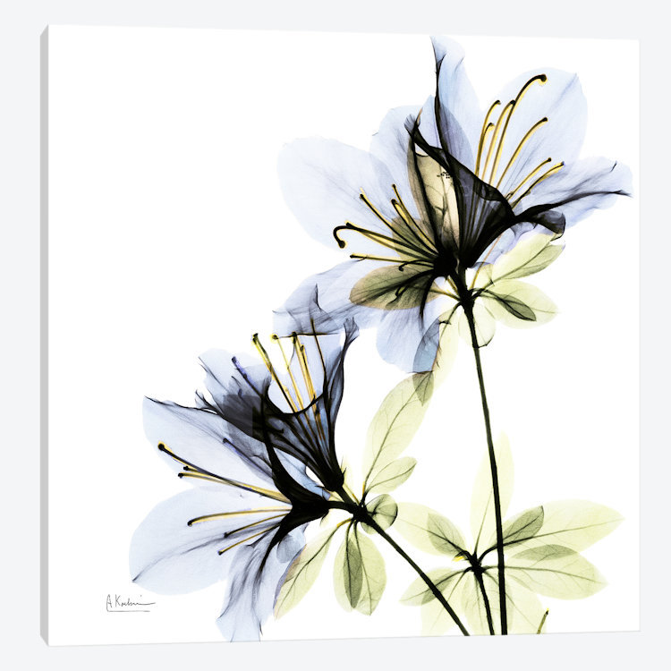 «Azalea I», impression sur toile, H 12 po x l 12 po x P 0,75 po, Pas de tapis, Toile tendue