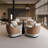Modern Simple Sofa Coffee Table Combination-102251901