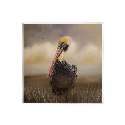Pélican nuageux, ciel naturel, faune - photographie