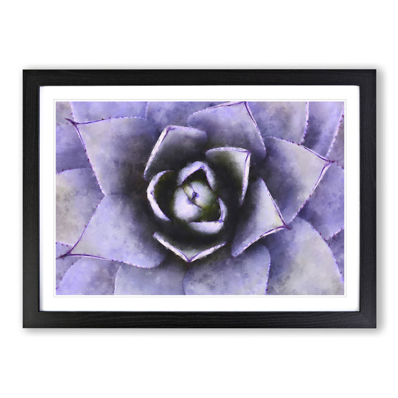 Lilac Succulent Plant - Picture Frame Graphic Art Print, 24cm H x 33cm W x 2cm D, Black Framed