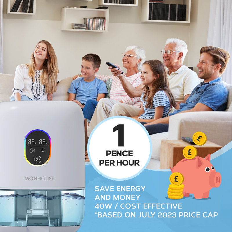 1000ml Electric Dehumidifier - Quiet Touch Screen Auto Shut Off, White