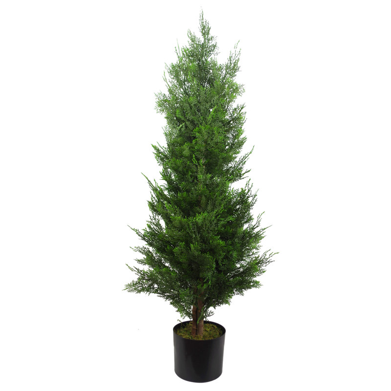Annistyn Faux Cypress Tree in Pot, 120 cm x 55 cm