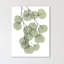 « descending eucalyptus 2 », impression sur toile tendue-23604541