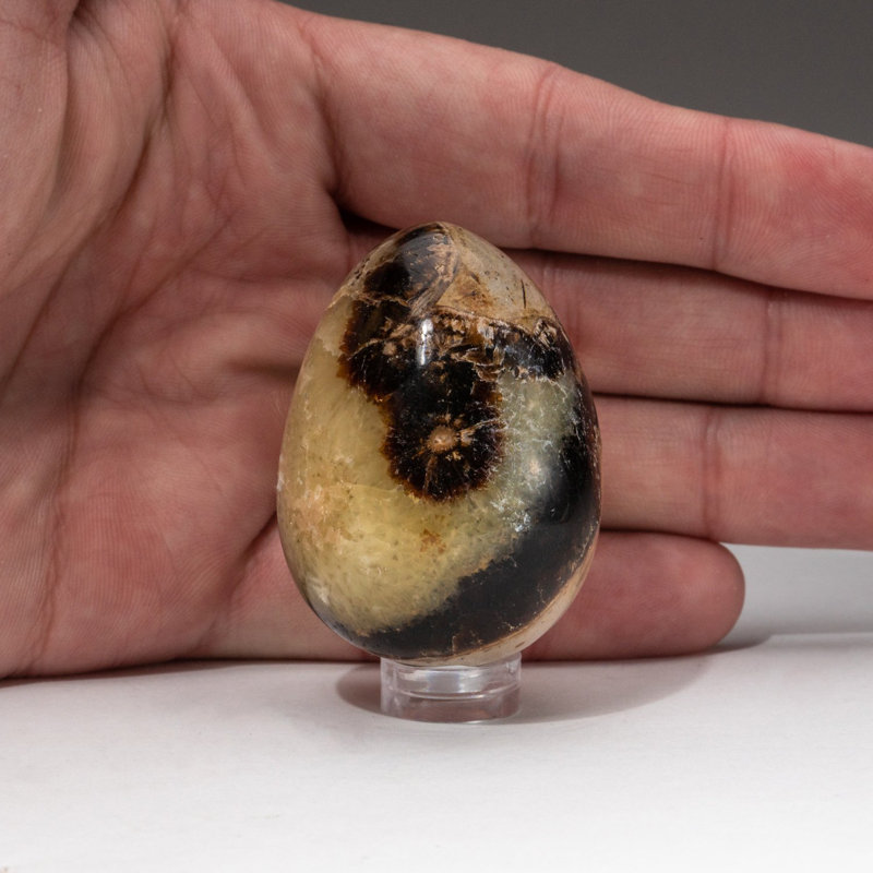 Polished Septarian Egg from Madagascar (0.1984 lbs)