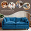 Causeuse Cloud, canapé modulaire moderne, pour chambre à coucher et appartement dans le salon, coussin de siège rembourré à double couche confortable, tissu chenille respirant-1704768062