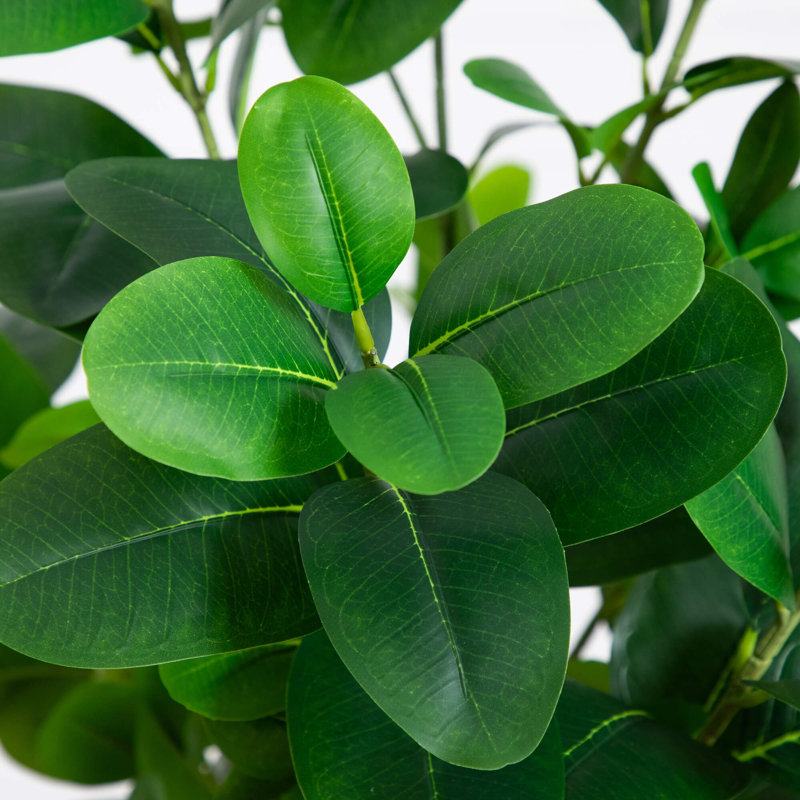 7 pi Ficus Audrey artificiel, H 72 po x l 26 po x P 7 po