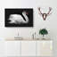 White Swan Swimming - Wrapped Canvas Print-56639466