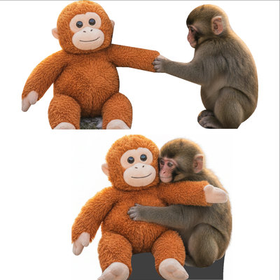 SP13641 Panchi-kun Punch Baby Japanese Macaque Monkey Stuffed Animal Cardboard C
