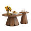 Ensemble de table de salon 2 pièces-1480367026