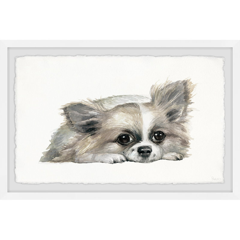Little Furry Friend by Parvez Taj - Single Picture Frame Painting, 38 cm H x 45 cm W