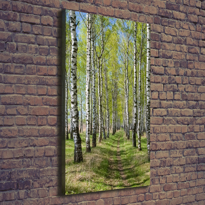 Birch Forest - Wrapped Canvas Print