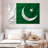 Silky Pakistan Flag-679303906