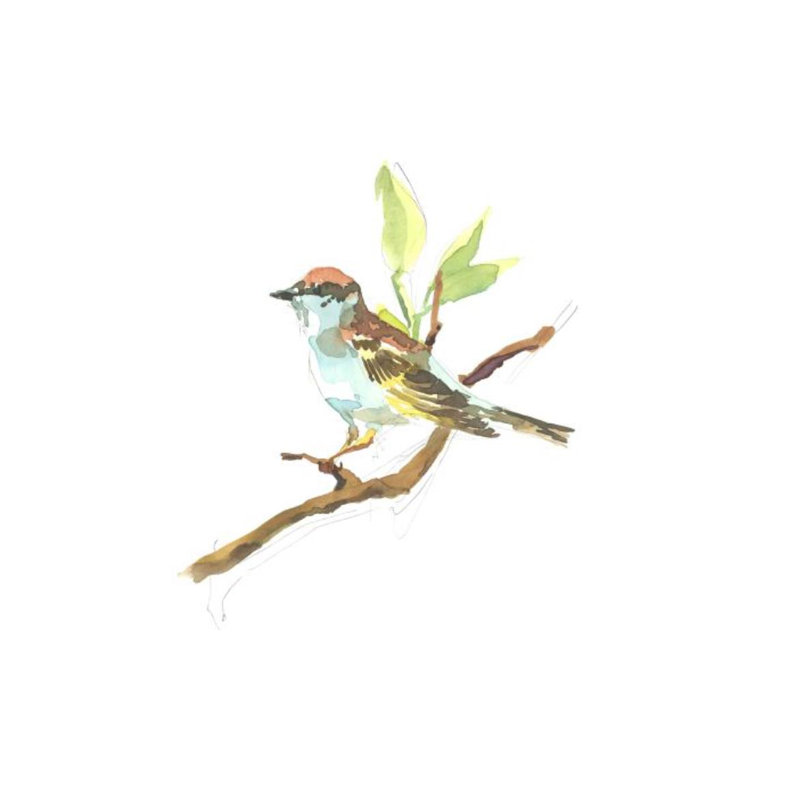 Chipping Sparrow Print by Fern Cassidy, 46" H x 36" W x 1.5" D, Knife Gel