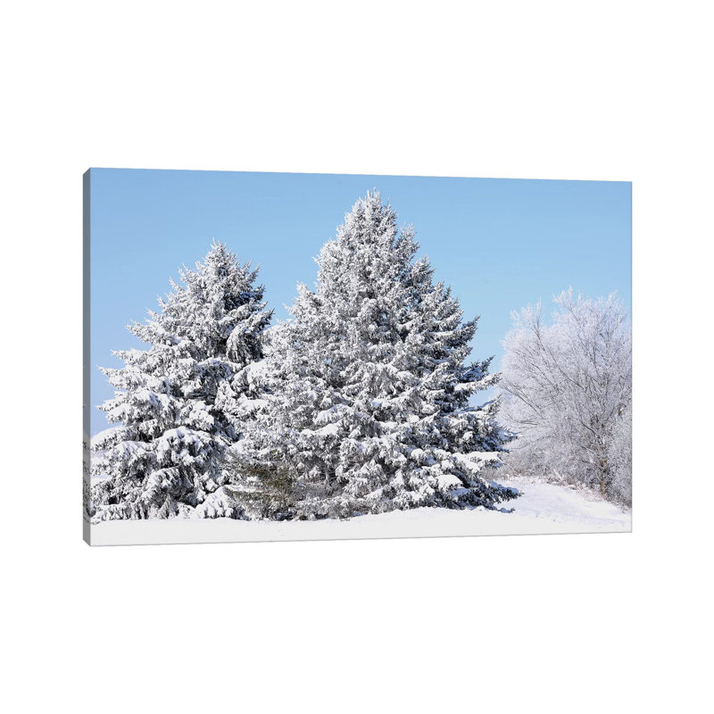 Flocked Trees 1 Piece Wrapped Canvas Wall Art, 66.04 cm H x 45.72 cm W x 3.175 cm D