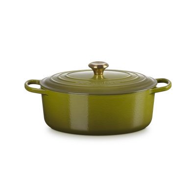 Enameled Cast Iron Oval Dutch Oven
