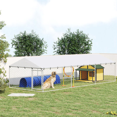 Outdoor Dog Kennel