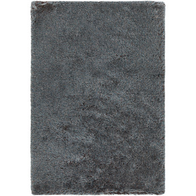 Joni Hand-Woven Blue/Brown Area Rug