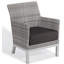 Argento Outdoor Lounge Chair-2007283649