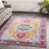 Solvey Oriental Indoor Rug