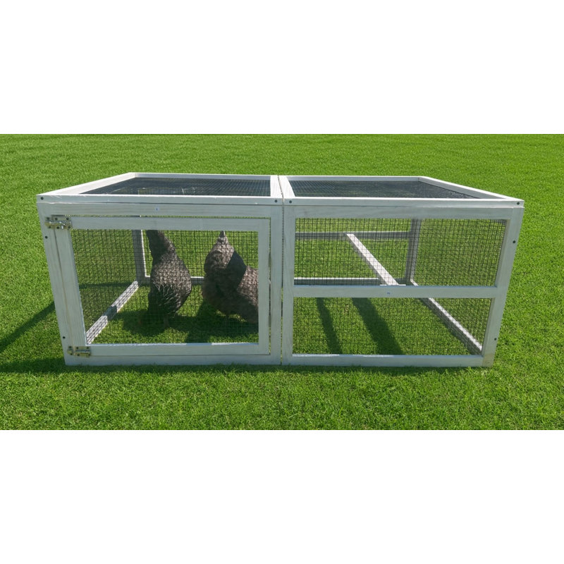 13 pieds carrés 4