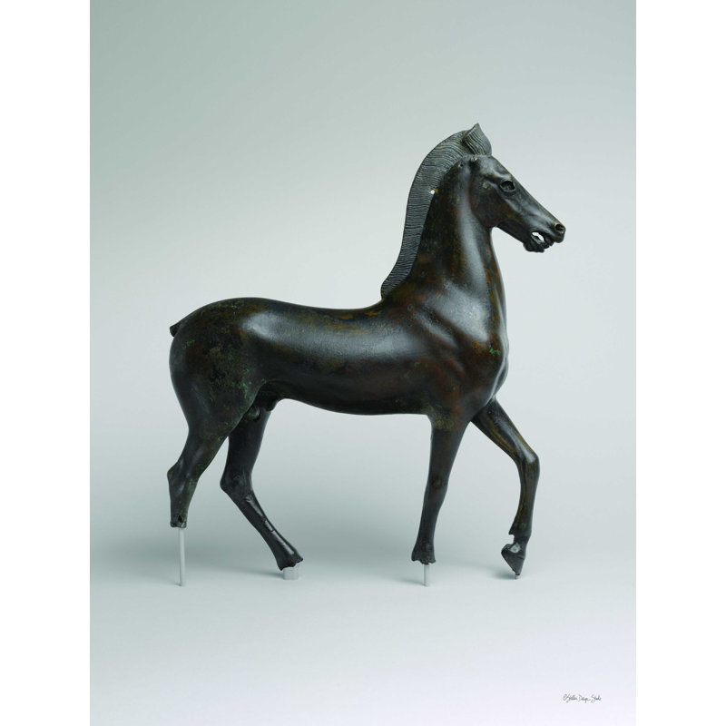 Statue romaine de cheval 1 - Impression sur toile tendue, H 16 po x l 12 po