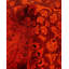 Tapis orange / rouge surteint de conception unique 8 pi 2 po x 10 pi 5 po Overdyed