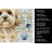 Cream Lhasa Apso Coastal Sea Glass Kitchen Towel-871463972