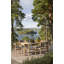 Koster Dining Chair