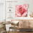 Aldoris Blushing Peony