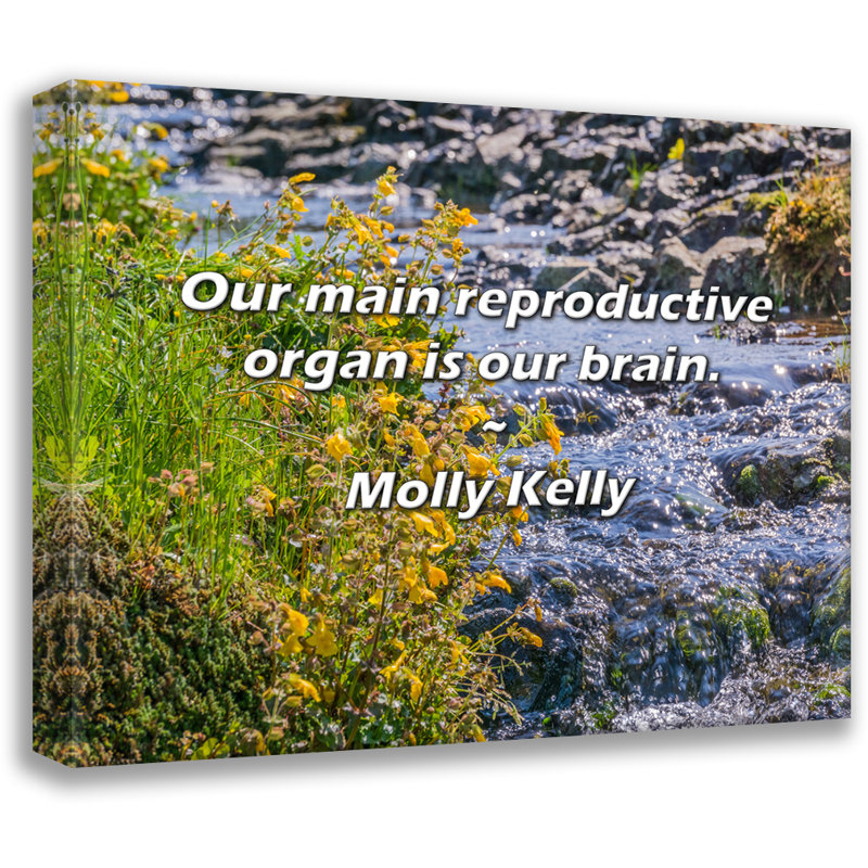 Citation de Molly Kelly: Notre principal appareil reproducteur est notre cerveau., H 15 po x l 18 po