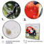 Coccinelles rouges et noires III sur toile-1105755756-1105755757