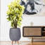 Concrete Effect Round Planter on Hardwood Legs, Round Indoor Plant Pot Stand for Indoor Plants, Indoor Flower Pot with Honeycomb Pattern-911390645-818477280