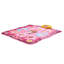 Musical Dance Mat