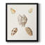 Toile encadrée Pastel Knorr Shells VI - prête à accrocher-141858855-141858851