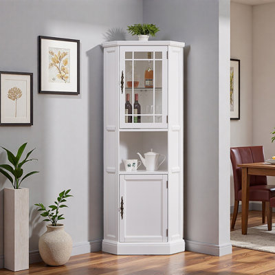 Modern multi-functional display cabinet