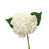 White is out of stock