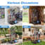 Garden Tool Organizer with Hooks, Yard Tool Rack Garage Organization