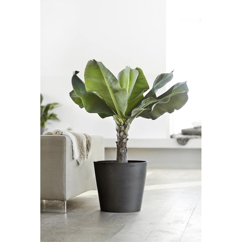 Remedios Pot Planter, Dark Gray