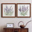 Lavande botanique I - ensemble de 2 peintures sur toile encadrées-2026641883-2026641882