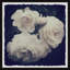 Everlasting Love - Single Picture Frame Painting-1609163878