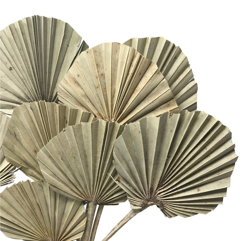 Escolta Arrangement